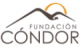 LOGO 6